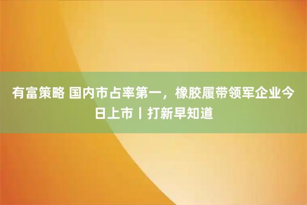 有富策略 国内市占率第一,橡胶履带领军企业今日上市丨打新早知道